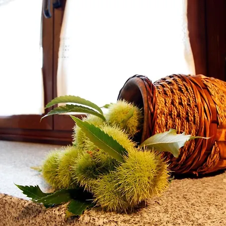 Puerta Del Sol De 1 * カンデラリオ